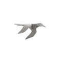 Decoraciones de pared Volo Wall Adriani e Rossi en oferta