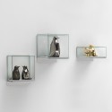Estantería de vidrio Teca Wall Adriani e Rossi