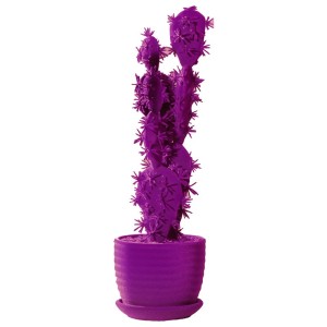 Objeto decorativo Cactus 40 Adriani e Rossi