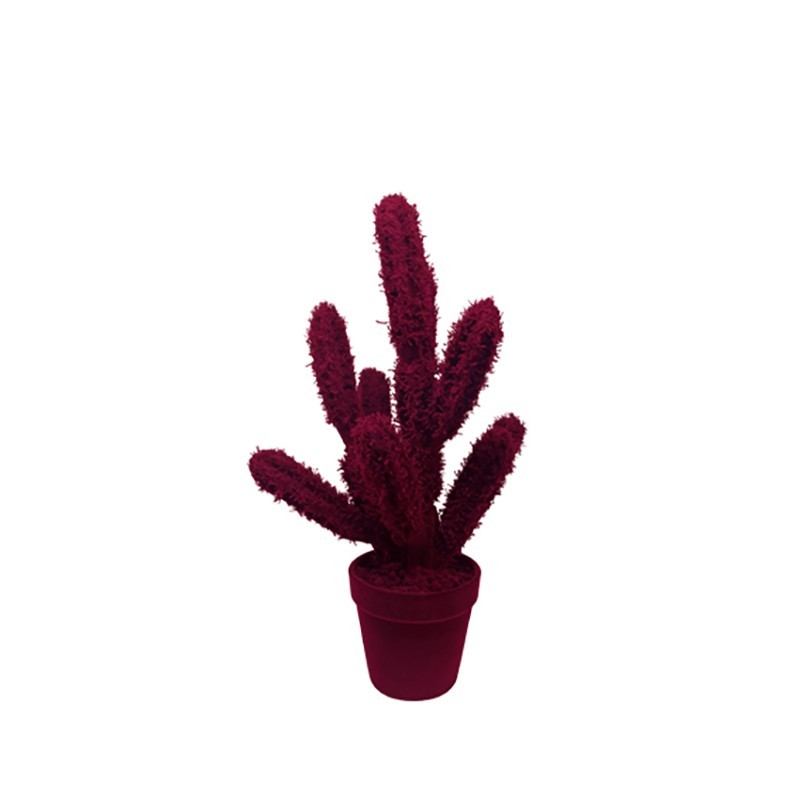Objeto decorativo Cactus Long Adriani e Rossi