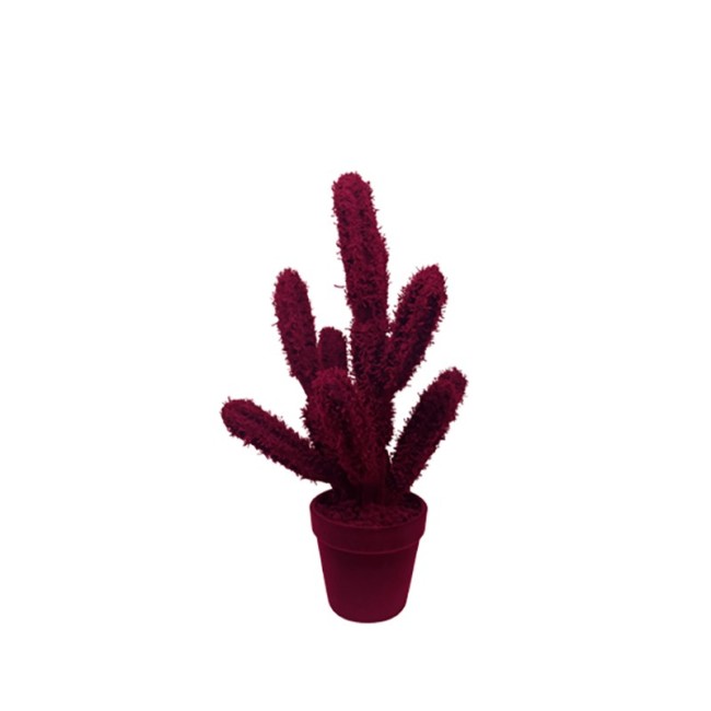 Objeto decorativo Cactus Long Adriani e Rossi