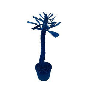 Objeto decorativo Cactus Cloud Adriani e Rossi