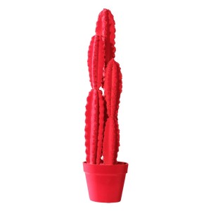 Objeto decorativo Cactus 66 Adriani e Rossi