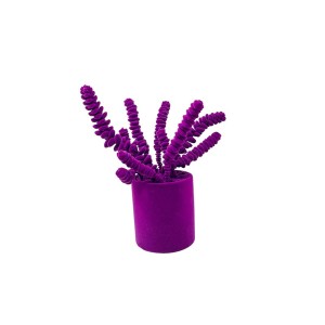 Objeto decorativo Crassula Adriani e Rossi