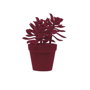 Planta decorativa West de Adriani e Rossi