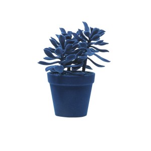 planta-decorativa-west-de-adriani-e-rossi