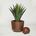 Elemento decorativo Bonnie Serralunga – Promociones online