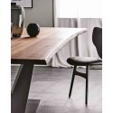 Stratos Wood Cattelan Italia Mesa
