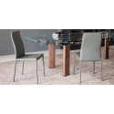 Maya Flex Cattelan Italia Silla