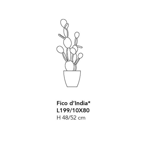 Higo chumbo de Adriani e Rossi: Diseño para tus interiores