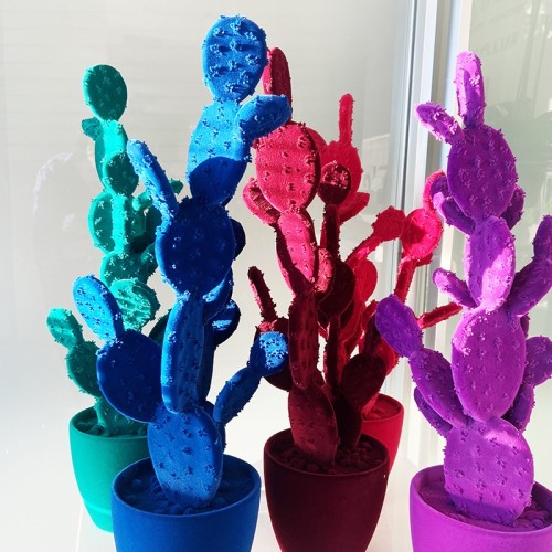 Higo chumbo de Adriani e Rossi: Diseño para tus interiores