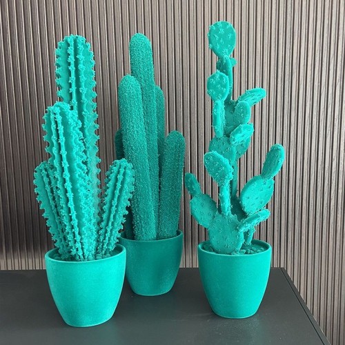 Long Cactus de Adriani & Rossi: Diseño para tus Interiores