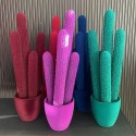 Long Cactus de Adriani & Rossi: Diseño para tus Interiores