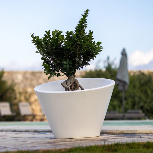 Dorico Kloris Jarrón iluminable