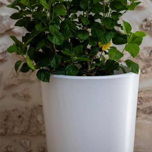 Gotico Kloris jarrón iluminable