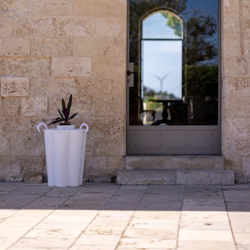 Lulet Kloris Paragüero Drop