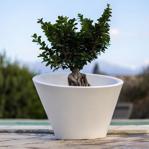 Dorico Kloris Jarrón