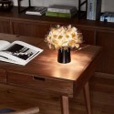 Clizia Slamp Lámpara de sobremesa en tecnopolímero