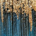 Cuadro abstracto Blue Art Agave Quadri