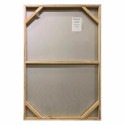 Cuadro figurativo Appearance Agave Quadri