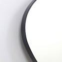 Art Mirror Lamia Agave Quadri