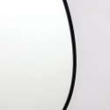 Art Mirror Lamia Agave Quadri