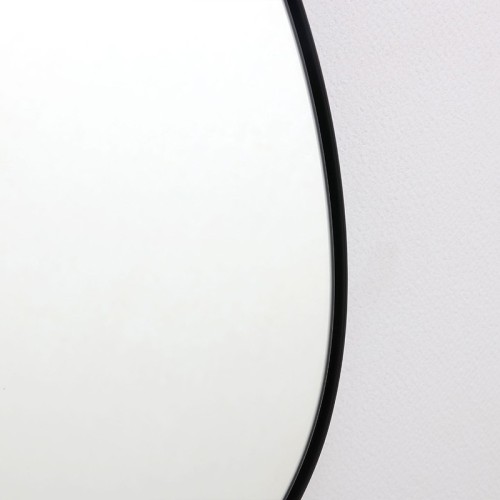 Art Mirror Lamia Agave Quadri