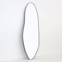 Art Mirror Lamia Agave Quadri