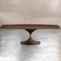 Mesa Leo Evolution Midj fija