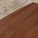 Mesa Leo Evolution Midj fija