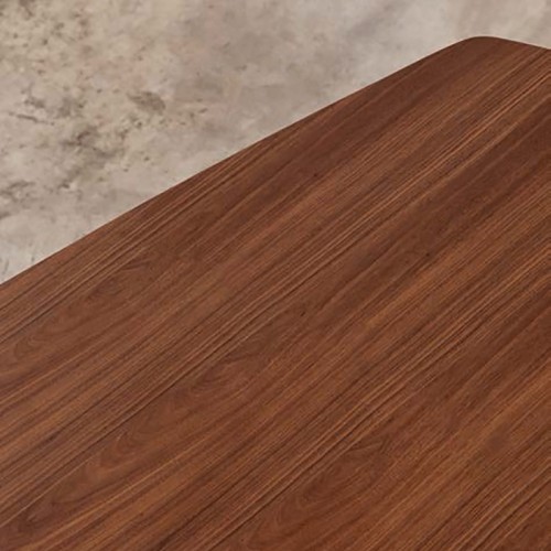 Mesa Leo Evolution Midj fija