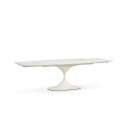 Mesa Leo Evolution Midj extensible