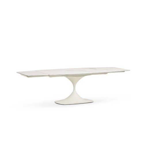 Mesa Leo Evolution Midj extensible