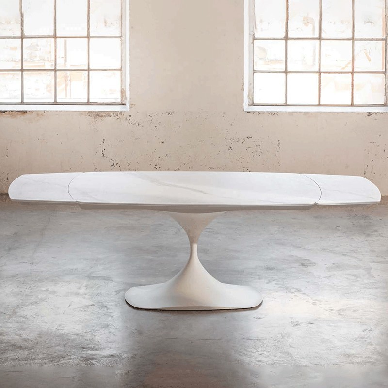 Mesa Leo Evolution Midj extensible