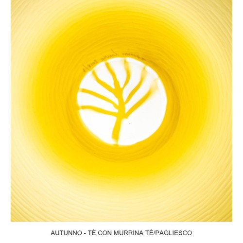 Plato Decorativo Quattro Stagioni Venini