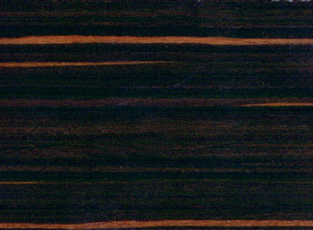 Madera-Arketipo
