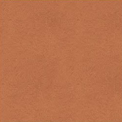 E16-EconabukCognac