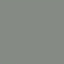 GS Gesso