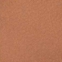 C50 Camoscio Cognac