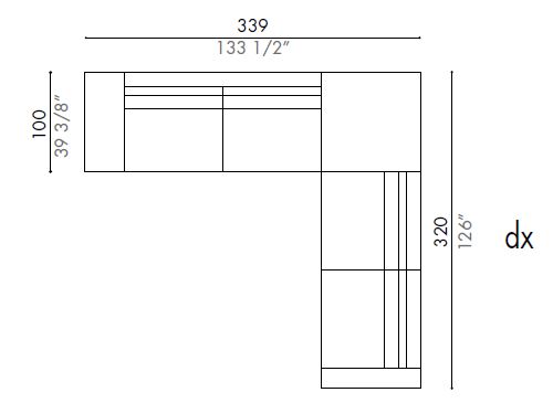 339Agon-Angulare-Desiree-1