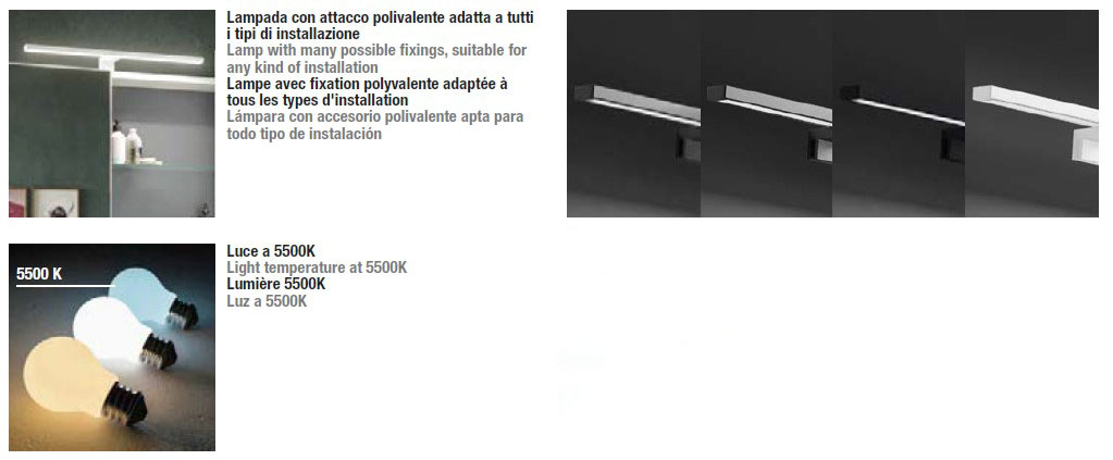 viola-inda-estructura