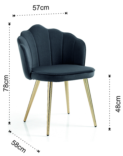 Dimensiones de la silla Shell de Tomasucci