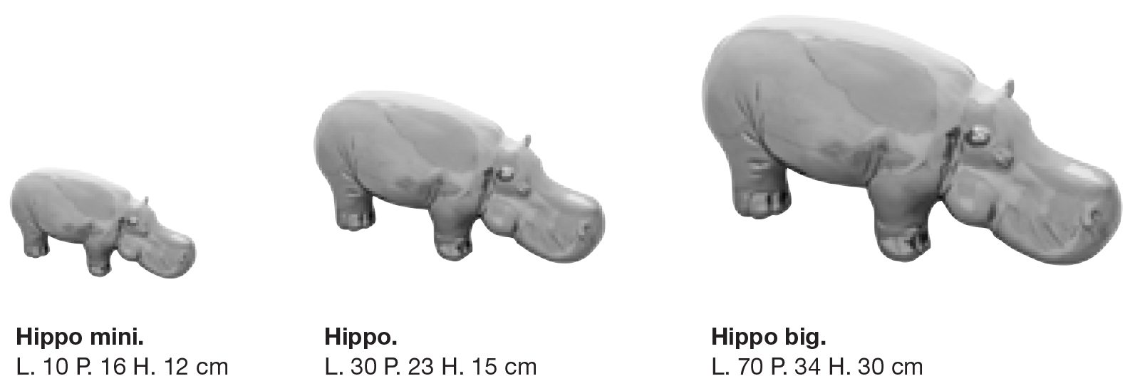 dimensiones-hippo-collection-adriani-e-rossi