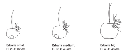 erbaria-lámpara