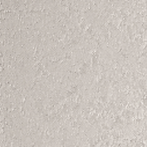 Gris platino