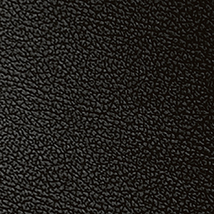 F04 negro