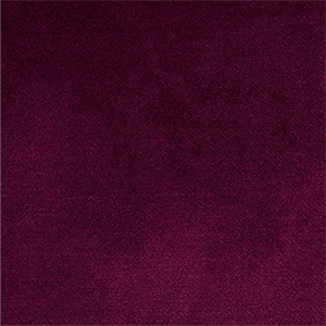 55 morado