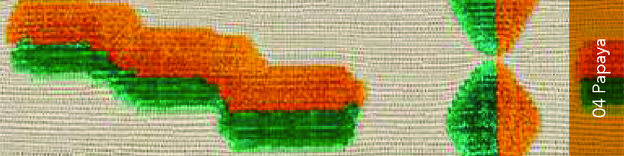 tejido-dedar-tiger-beats-miniforms-01