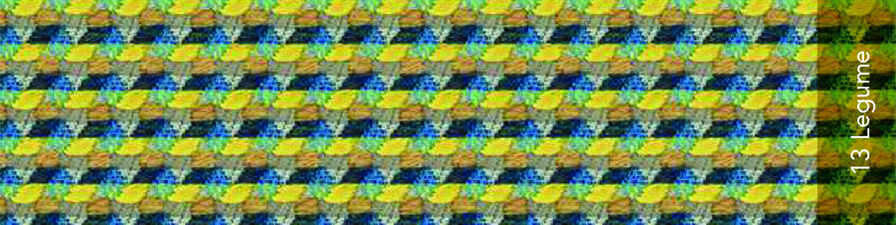 tejido-maharam-oxbow-miniforms-01