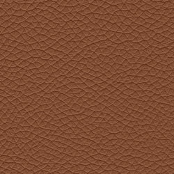 Pelle-5080-Tonelli